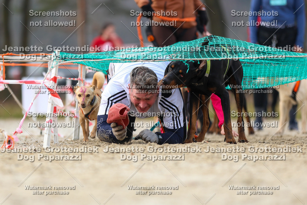 Dog Paparazzi - Strongdog North Mrz26-4192 | Dog Paparazzi Jeanette Grottendiek Fotografie & Videografie - Realisiert mit Pictrs.com