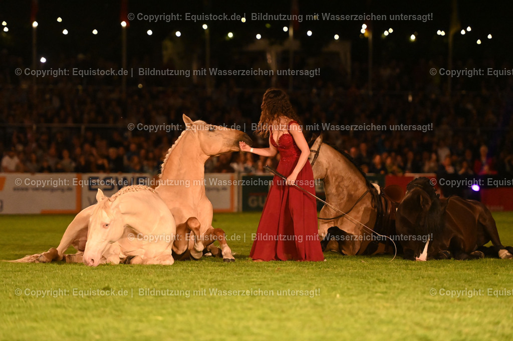 20230526_Pferdenacht_1551 | equistock