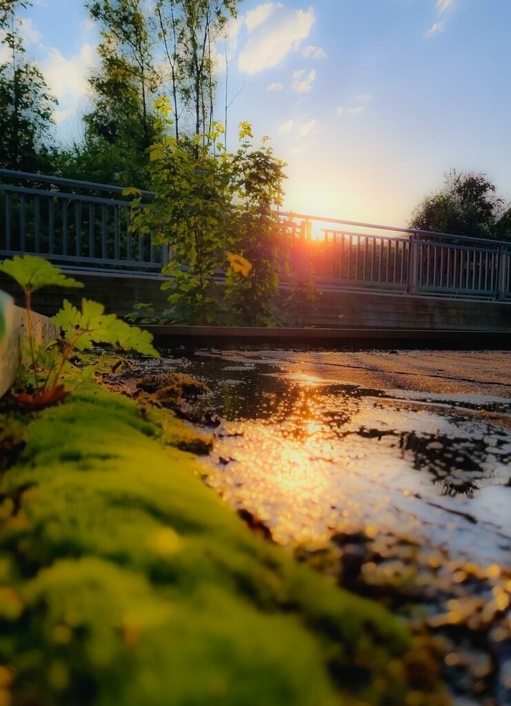 PSX_20220628_205507 | mtkfoto_ - Realisiert mit Pictrs.com