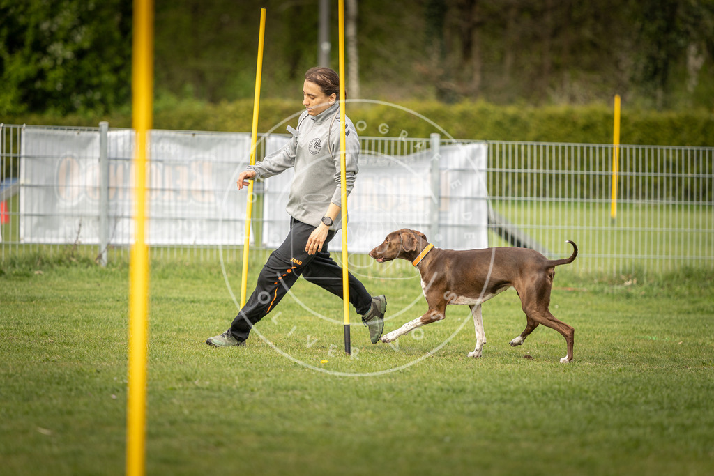 Pfotenfotografie_DV3A5160 | Hundefotografie, Tierfotograf, Pfotenfotografie, Fotoshooting Hund, Hunde Portrait, Hundesport, Hundeportraits, Heideshooting, Hunde, Sportfotograf, Hundefotograf, Turnierhundsport, THS,  - Realisiert mit Pictrs.com