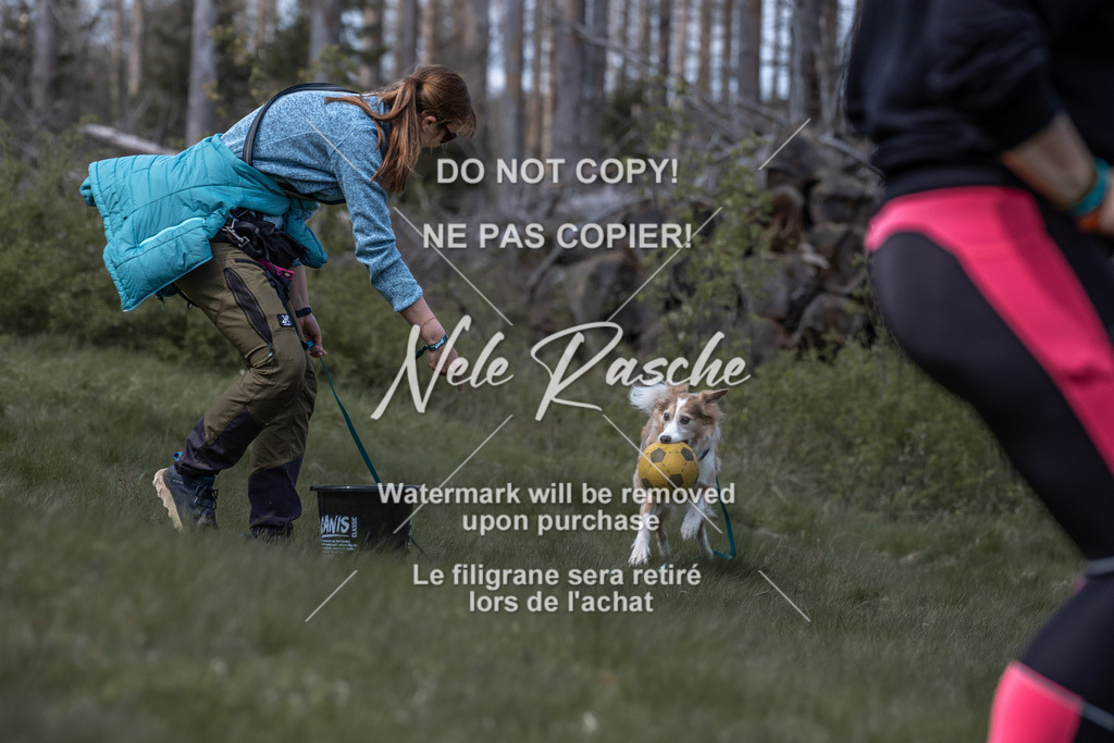 6Z1A1053 | nelerasche