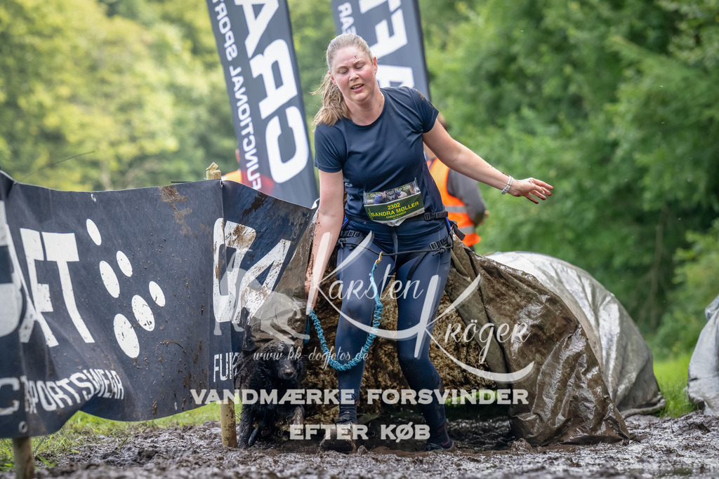 1142_ZZ94005-Bearbeitet | kk-dogfotos