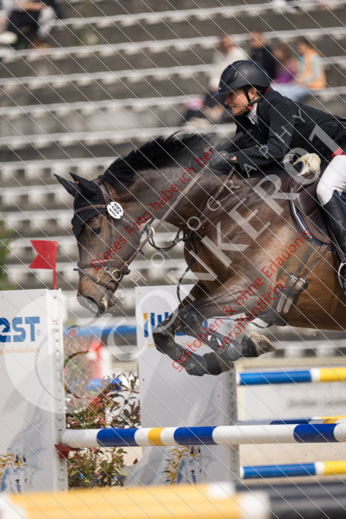 IMG_4945 | Sport-, Event- und Tierfotos in Profiqualität. Einfach auswählen, bestellen und herunterladen. Dein Moment – perfekt festgehalten.