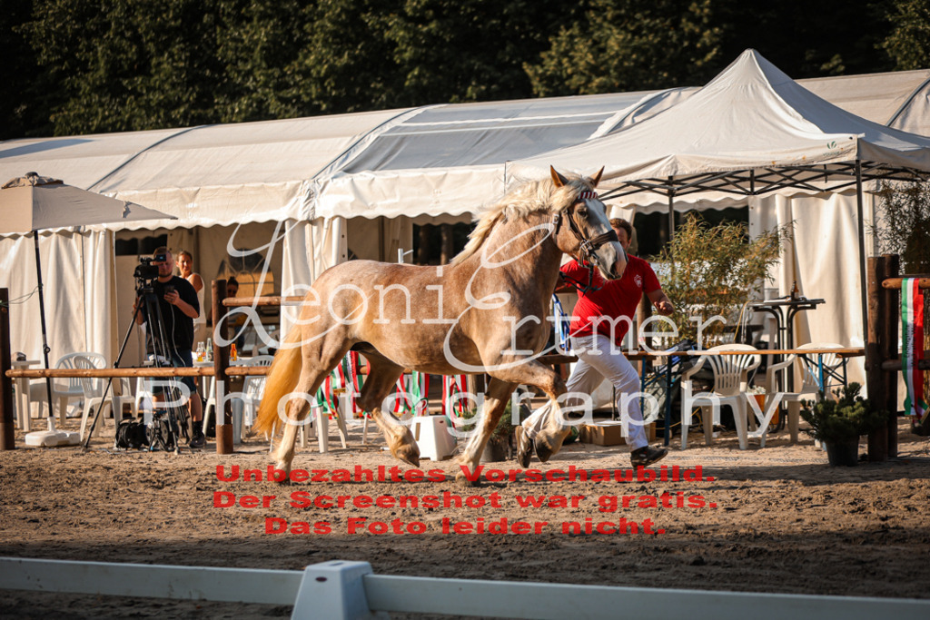 Fr3K00096 | Leoni Ertmer Photography - Realisiert mit Pictrs.com