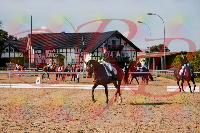 2026_10_03_Siefer-Hof_125537_Z63_62218421 | Professionelle Reitsport-, Turnier- und Eventfotografie von Robert Broda. Galerien mit ausgewählten und bearbeiteten Bildern direkt online ansehen und bestellen.