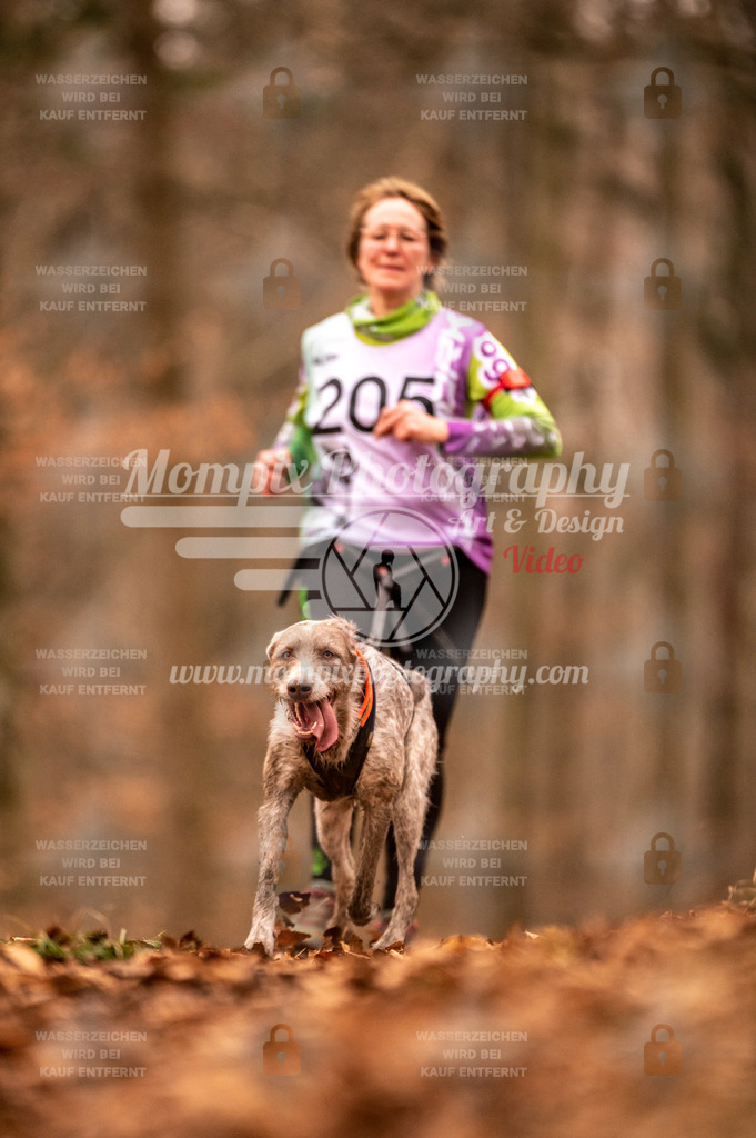 AKM_ST_2023_Son_Run-2 | PayLife