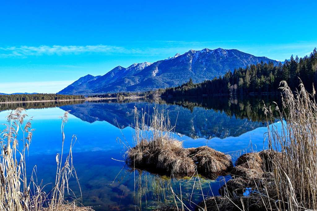 Winterliche Poesie am Ufer: Die stille Seele des Barmsees | Ein Anblick von unendlicher Klarheit und tiefer Geborgenheit, der den Geist zur Ruhe kommen lässt: Wie flüssiges Glas ruht der Barmsee unter einem strahlend blauen Winterhimmel. Im kristallklaren Wasser spiegelt sich das majestätische Panorama des Ester- und Karwendelgebirges in vollkommener Symmetrie, während am Ufer goldgelbes, trockenes Schilf und kleine Grasinseln wie ein natürlicher Rahmen emporragen. Durch die spiegelglatte Oberfläche lässt sich der steinig-moosige Grund des Sees sanft erahnen. Diese Aufnahme fängt die magische Windstille und die friedliche Einsamkeit eines alpinen Wintertages perfekt ein – ein Ort reiner Harmonie. - Realisiert mit Pictrs.com