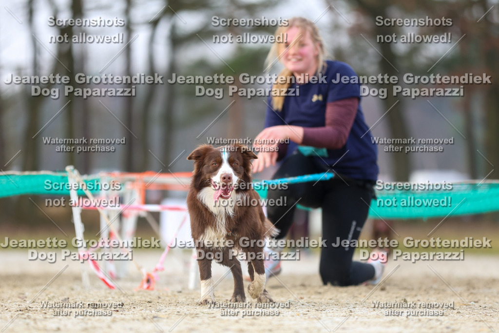 Dog Paparazzi - Strongdog North Mrz26-4006 | Dog Paparazzi Jeanette Grottendiek Fotografie & Videografie - Realisiert mit Pictrs.com