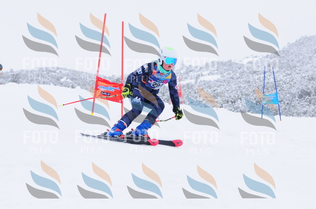 C3097 | holidayphoto