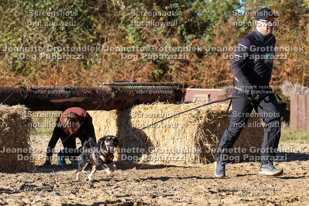 Dog Paparazzi - Strongdog 10-25-1442 | Dog Paparazzi Jeanette Grottendiek Fotografie & Videografie - Realisiert mit Pictrs.com