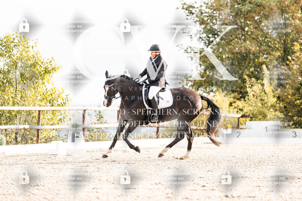 CK900337 | Turnierfotografie Pferdefotografie Trier Rheinland-Pfalz Pferdesport Reitsport Tierfotografie Sportfotografie Pferdevideo Pferdevideografie Equestrianvideography equestrianphotography  - Realisiert mit Pictrs.com