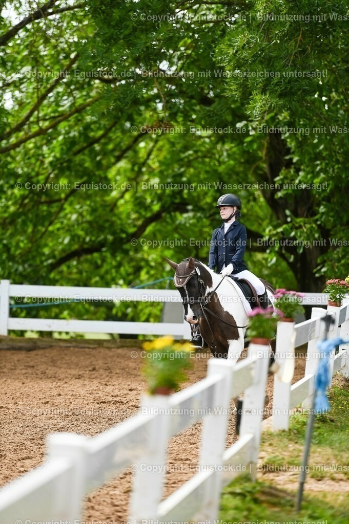 20230716_10-2_Reiter-WB Schritt - Trab - Galopp_0154 | equistock