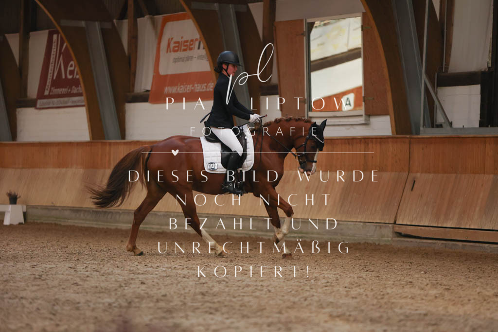 IMGM2430 | pl-fotografie