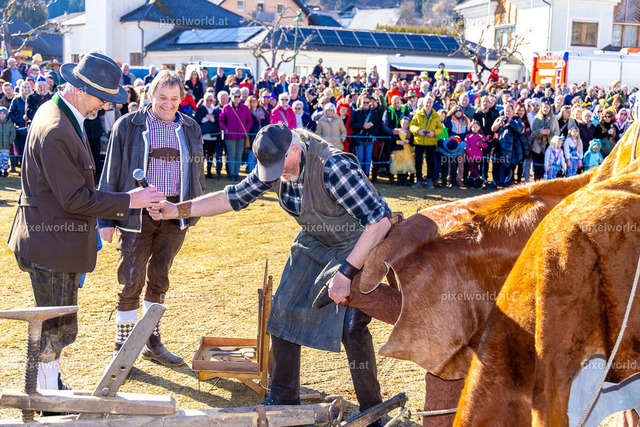 Bärentreiben in Steuerberg | Bildershop von pixelworld.at - Realisiert mit Pictrs.com