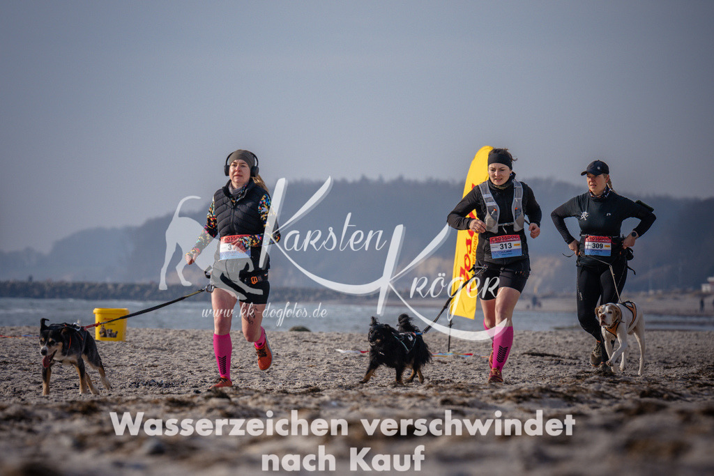 1005_ZZ93915 | kk-dogfotos