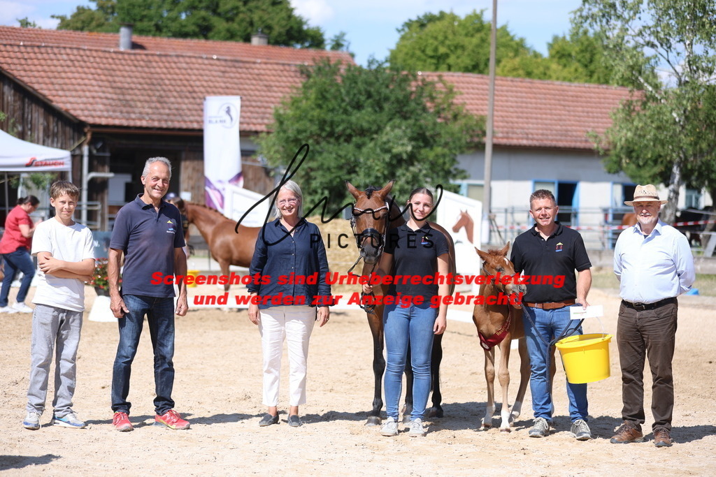 Fohlenschau_Schwäbisch_Hall_Ponys_SIEGERFOHLEN_KN 42_5 | lmwpictures - Realisiert mit Pictrs.com