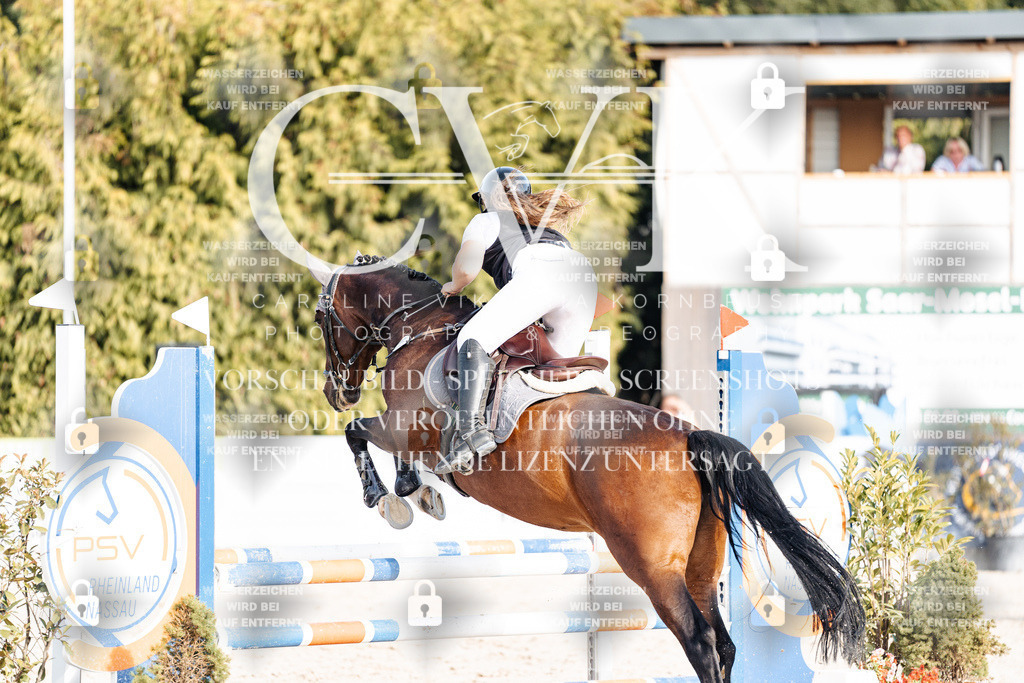 CK909584 | Turnierfotografie Pferdefotografie Trier Rheinland-Pfalz Pferdesport Reitsport Tierfotografie Sportfotografie Pferdevideo Pferdevideografie Equestrianvideography equestrianphotography  - Realisiert mit Pictrs.com