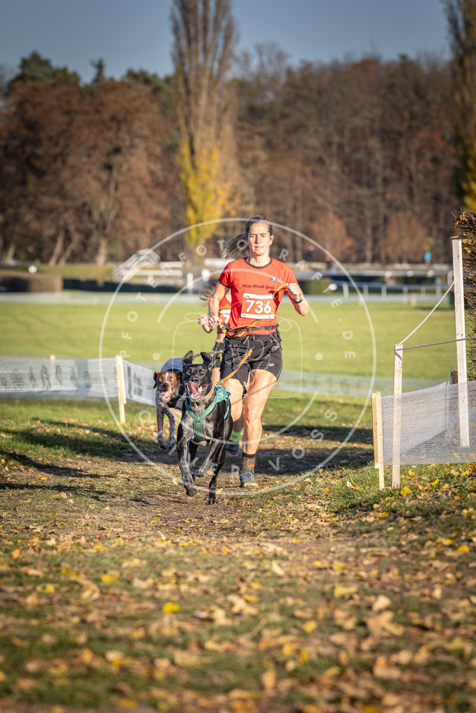 CaniXpix_DV3A2138 | Hundefotografie, Tierfotograf, Pfotenfotografie, Fotoshooting Hund, Hunde Portrait, Hundesport, Hundeportraits, Heideshooting, Hunde, Sportfotograf, Hundefotograf, Turnierhundsport, THS,  - Realisiert mit Pictrs.com