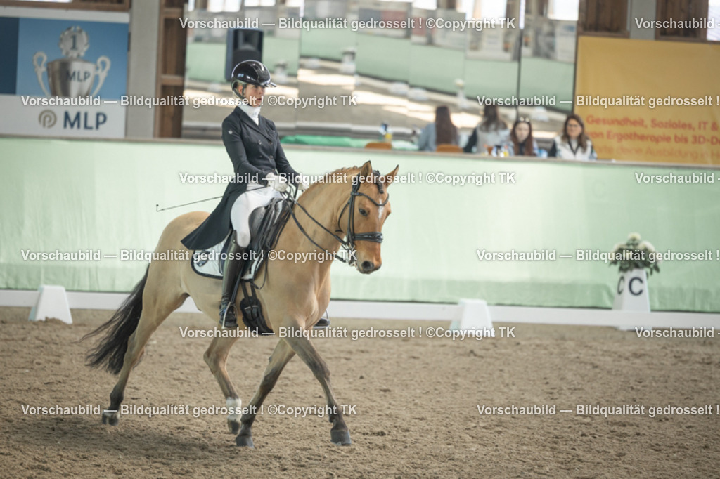 _D5A1737 | Emotionale Pferde- & People-Fotografie rund um Heidelberg, Leimen & Umgebung. Natürliche Fotos von Pferd, Mensch & Familie. Jetzt Termin sichern!