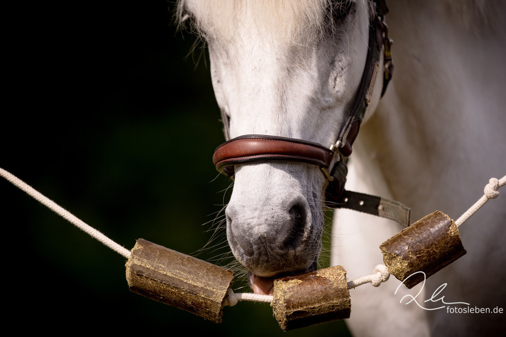 846A2794 | fotosleben - Realisiert mit Pictrs.com