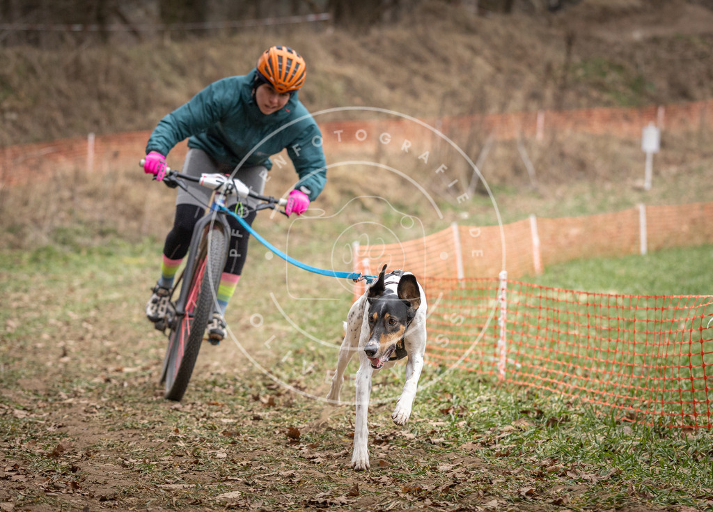 Pfotenfotografie_DV3A5084 | Hundefotografie, Tierfotograf, Pfotenfotografie, Fotoshooting Hund, Hunde Portrait, Hundesport, Hundeportraits, Heideshooting, Hunde, Sportfotograf, Hundefotograf, Turnierhundsport, THS,  - Realisiert mit Pictrs.com