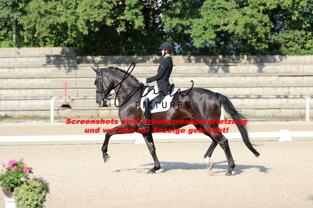 IMG_8791 | lmwpictures - Realisiert mit Pictrs.com