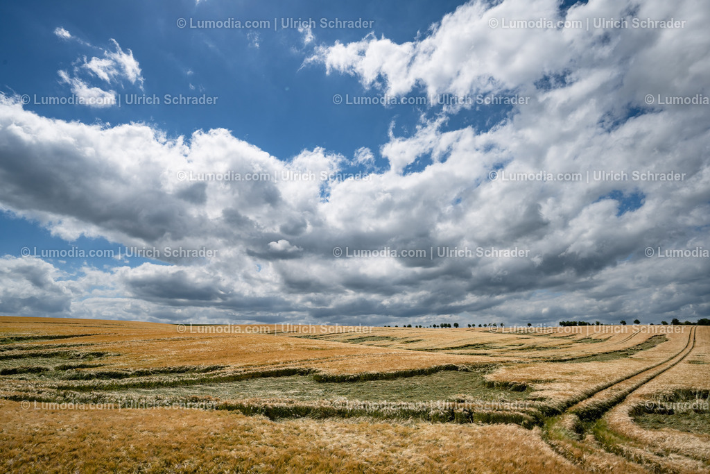 10049-12900 - Ein Sommertag | Stockfoto und Bilderpool mit Bildmaterial aus Deutschland, dem Harz, Halberstadt, Quedlinburg, Wernigerode und weltweit. Qualitativ hochwertige und professionelle Fotos anschauen und kaufen. - Realisiert mit Pictrs.com