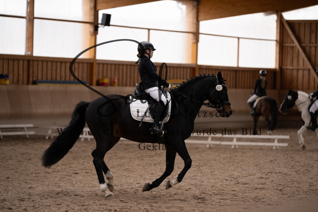 A7V09441 | Pferdefotograf