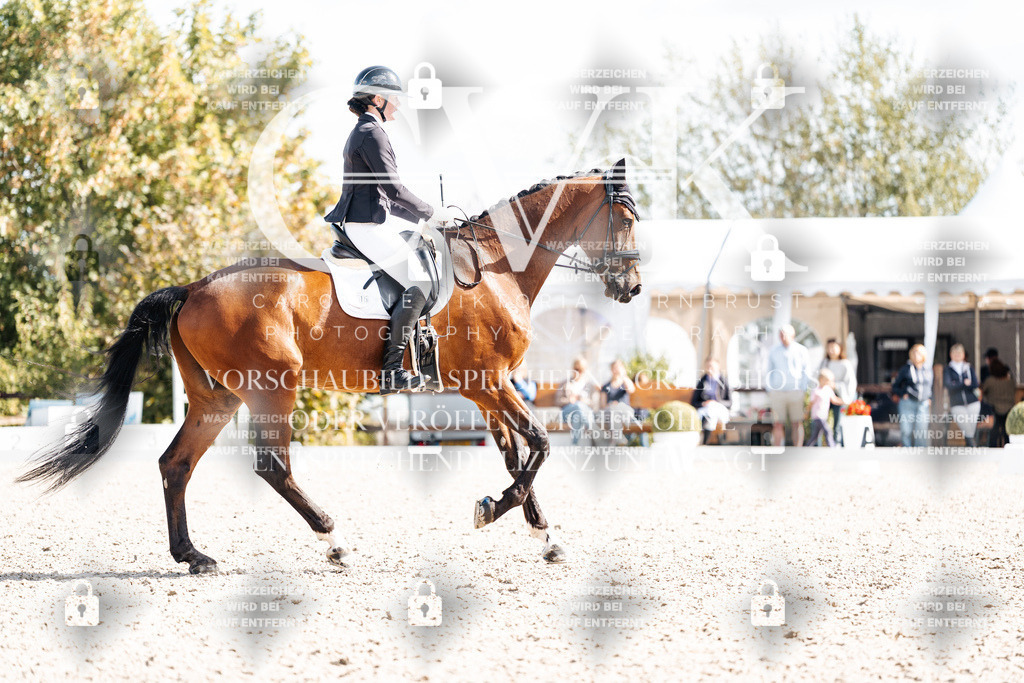 CK902414 | Turnierfotografie Pferdefotografie Trier Rheinland-Pfalz Pferdesport Reitsport Tierfotografie Sportfotografie Pferdevideo Pferdevideografie Equestrianvideography equestrianphotography  - Realisiert mit Pictrs.com