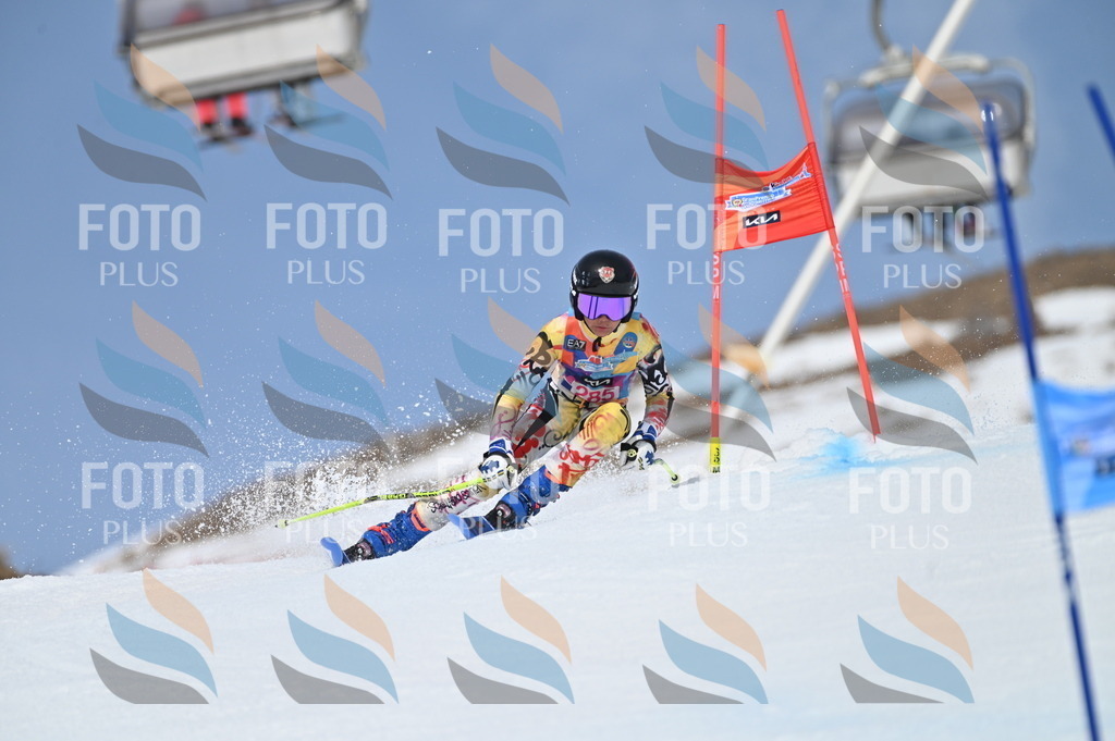 BGV_2497 | holidayphoto