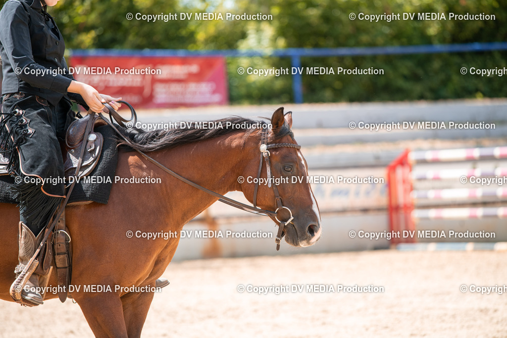 EWP_6686 | dv-media-shop - Realisiert mit Pictrs.com