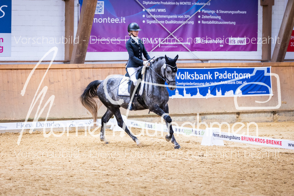 Sth-A-Dre-2St-190 | MomenTaufnahmen Pferdesportfotos