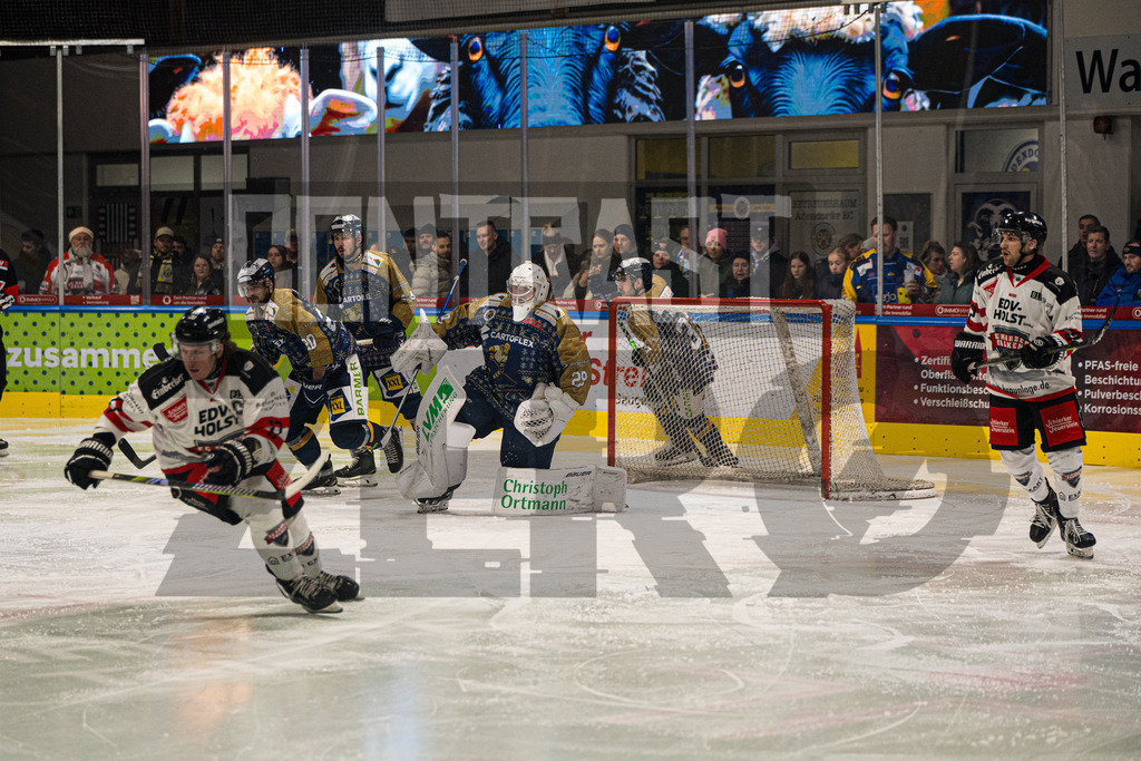 Eishockey I Herren I Saison 2025-2026 I Regionalliga Nord I Adendorfer EC - Harzer Falken | CONTRAST ZERØ MEDIA - Realisiert mit Pictrs.com