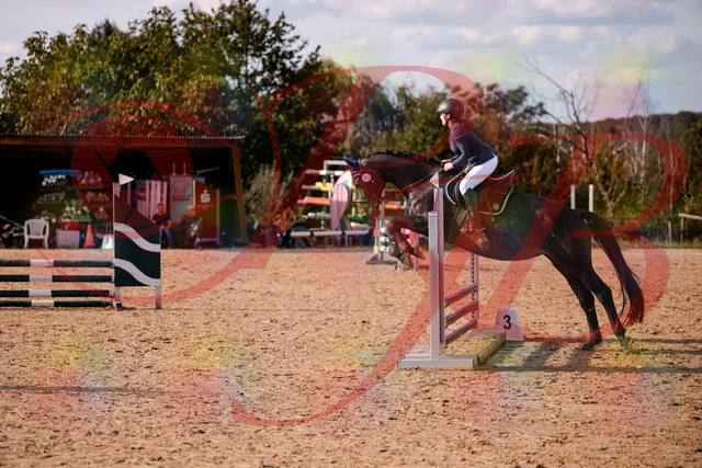 2026_10_03_Siefer-Hof_160107_Z81_81772243 | Professionelle Reitsport-, Turnier- und Eventfotografie von Robert Broda. Galerien mit ausgewählten und bearbeiteten Bildern direkt online ansehen und bestellen.