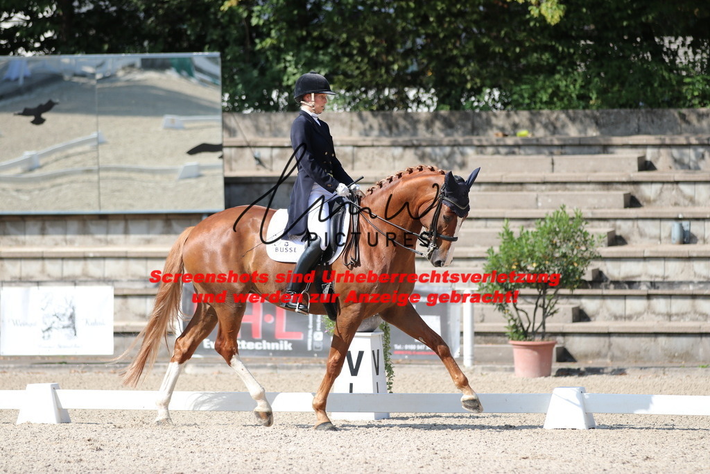 IMG_9333 | lmwpictures - Realisiert mit Pictrs.com