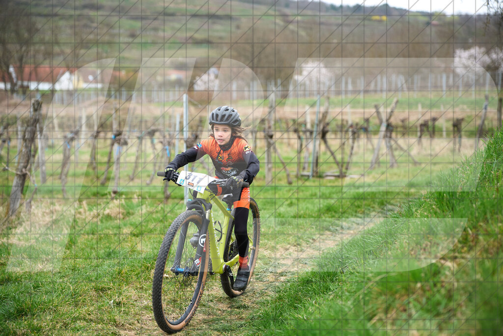 34. KTM Kamptal Trophy  | ZÖBING, Österreich – 2026-03-28: 34. KTM Kamptal TrophyFoto: © 2026 Martin Bihounek - MB Creative e.U.