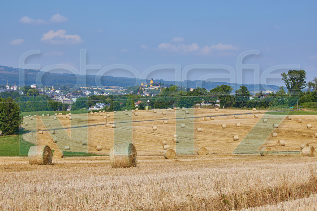 2022-07-30 09-46-20__5_10467 | Nitz Fotografie aus Montabaur bietet Ihnen hier die Möglichkeit Bilder auszusuchen und zu bestellen. 