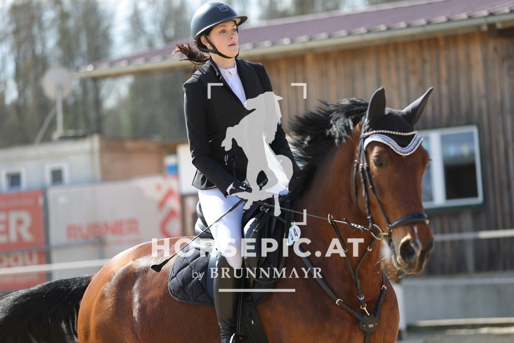 0P6A6893 | Willkommen bei Brunnmayr - Design & Fotografie – Ihrem Spezialisten für Reitturniere und Pferdeveranstaltungen in Oberösterreich, Salzburg und Bayern! Seit über 17 Jahren sind wir leidenschaftlich dabei.