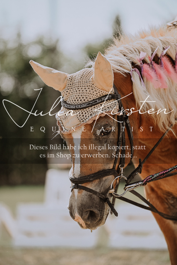 DSC_8843 | Pferde- und Turnierfotografie in Westsachsen. Pferdeportraits, Auftragszeichnungen und intuitive Kunst.