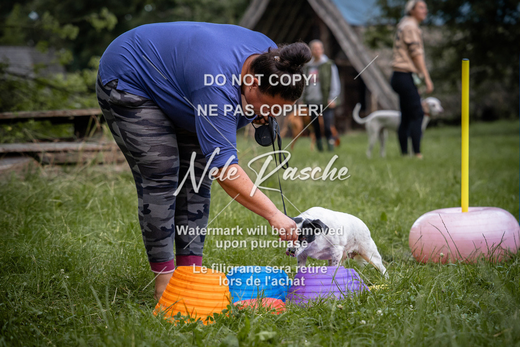 nelerasche_SoEarlyDog_73 | nelerasche