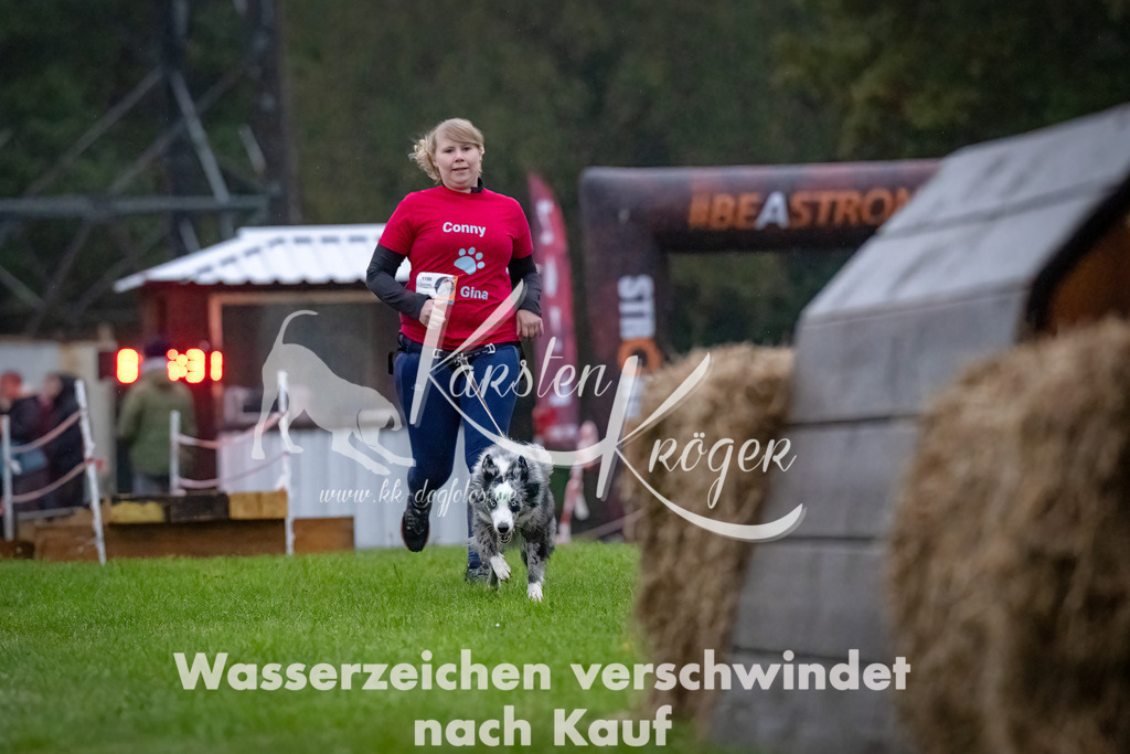 0817-_ZZ90875-Bearbeitet-Bearbeitet | kk-dogfotos