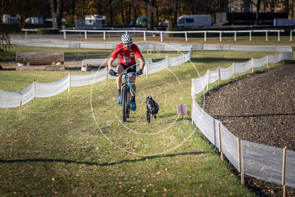 CaniXpix_DV3A3645 | Hundefotografie, Tierfotograf, Pfotenfotografie, Fotoshooting Hund, Hunde Portrait, Hundesport, Hundeportraits, Heideshooting, Hunde, Sportfotograf, Hundefotograf, Turnierhundsport, THS,  - Realisiert mit Pictrs.com