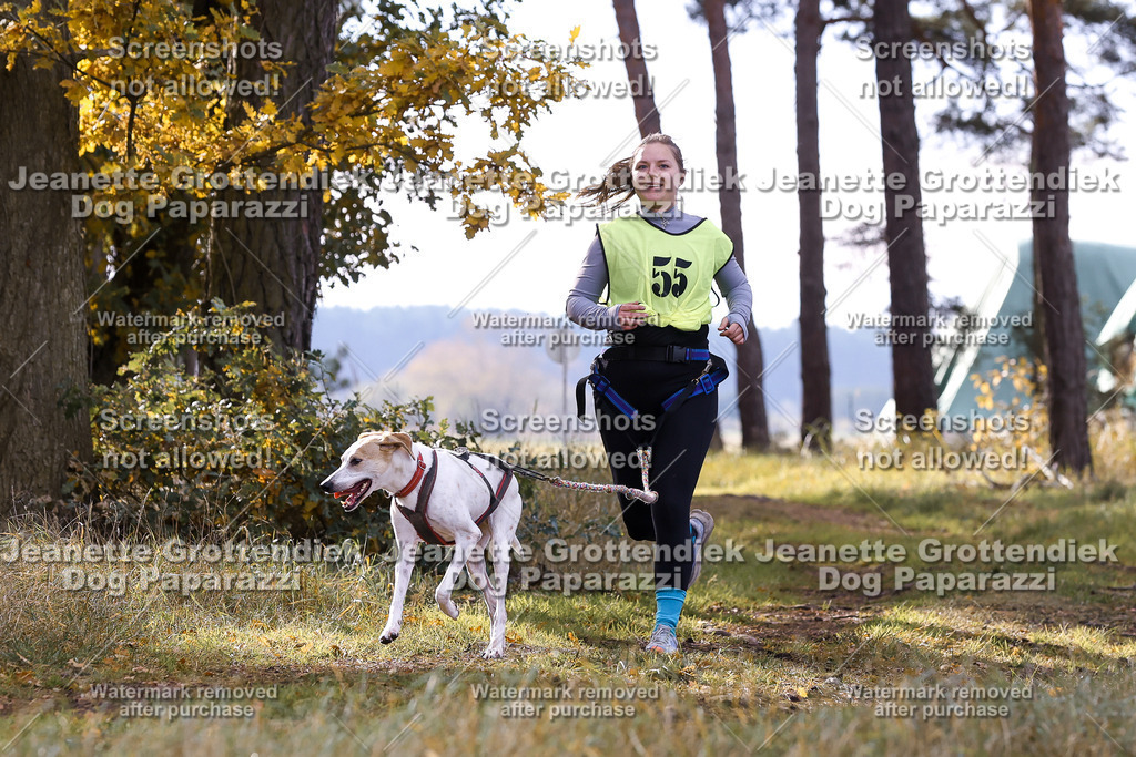 Dog Paparazzi - Elsholz 25 -203 | Dog Paparazzi Jeanette Grottendiek Fotografie & Videografie - Realisiert mit Pictrs.com