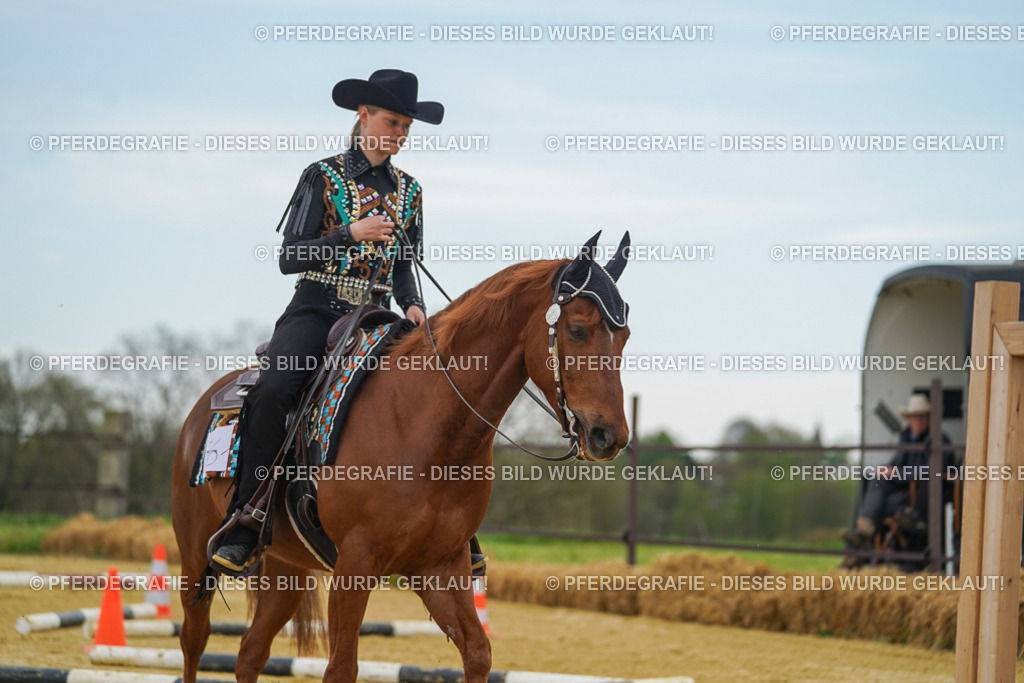 DSC02687 | Pferdegrafie