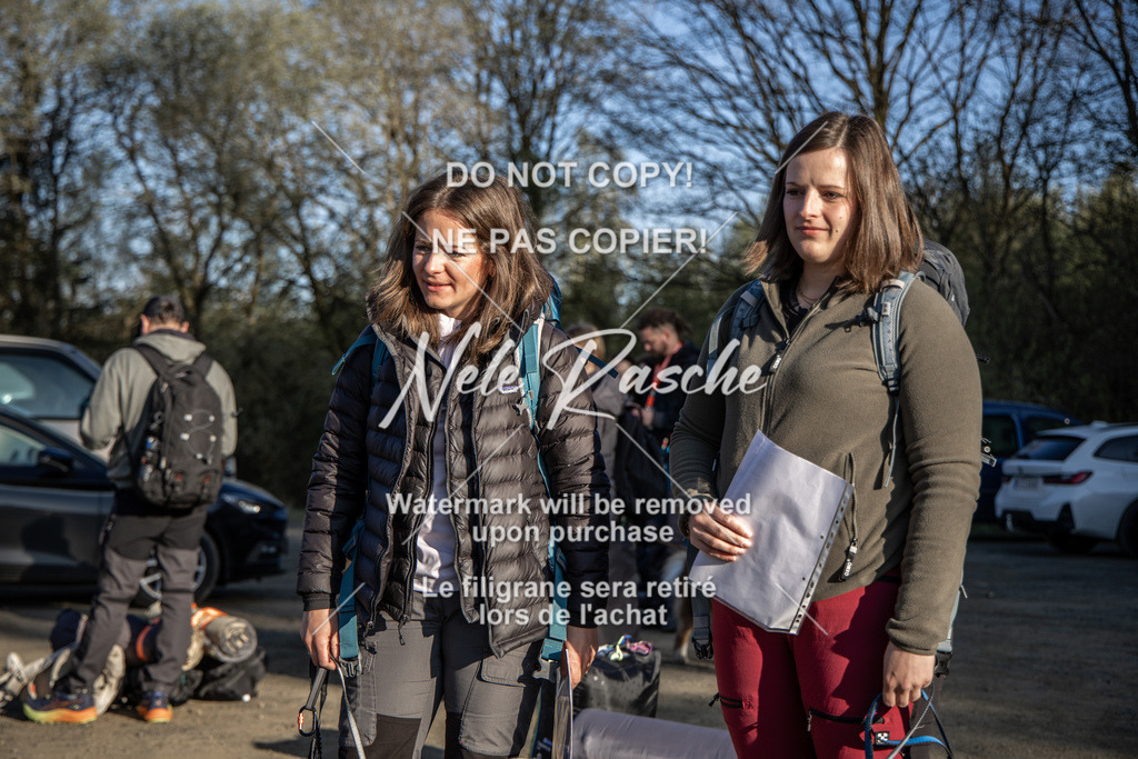 NR__0382-2 | nelerasche