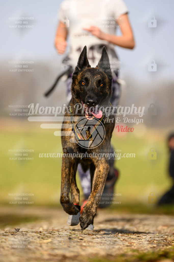 MompixPhotography_6ReiatRennen2026_SA_HappyDog-23 | PayLife