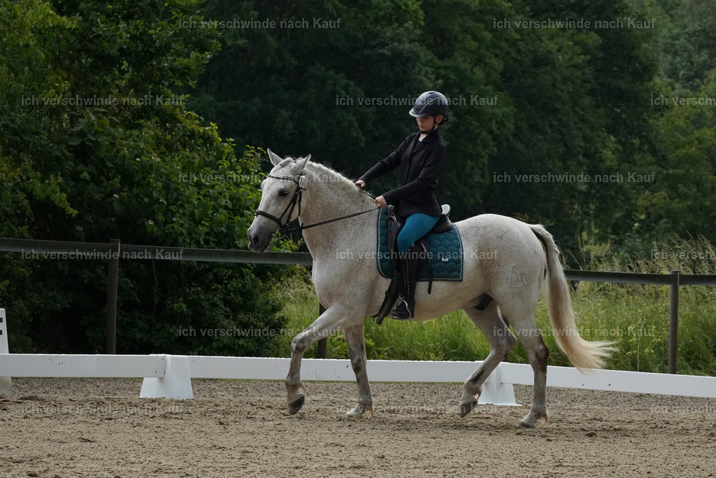 KlasseE_Lucie528 | working equitationturnier fotograf videograf stoibphotography marixx film working equitation deutschland reitsport turnierfotografie eventfotografie equestrian events