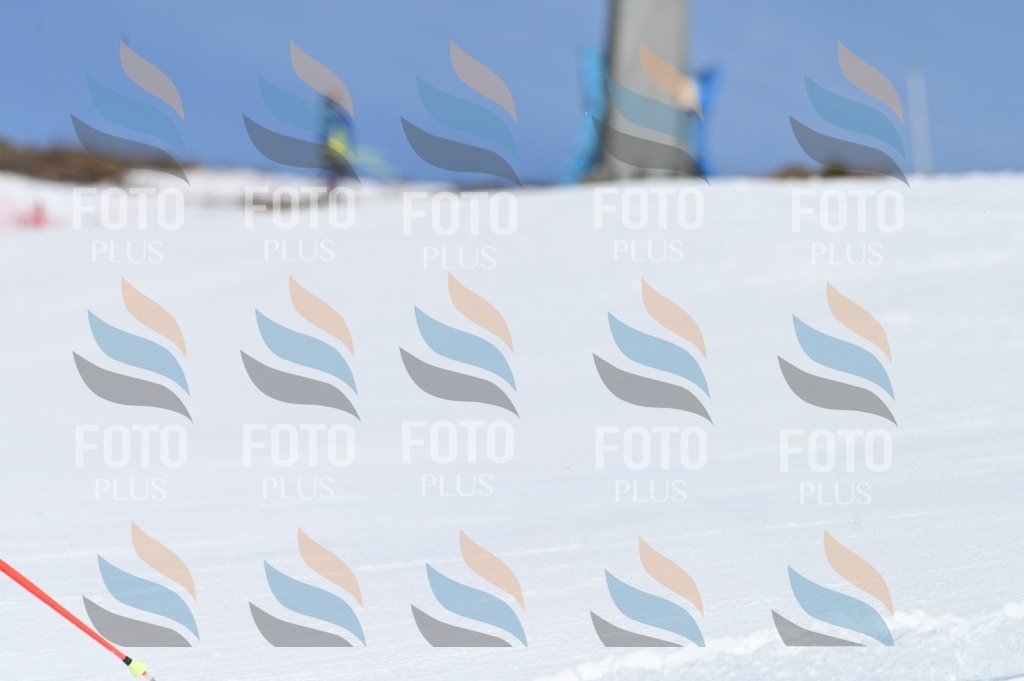 BGV_8914 | holidayphoto