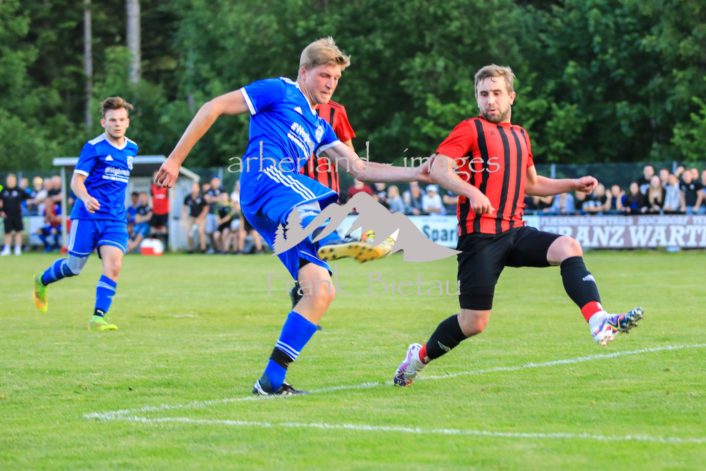 OE7A6679 | li. Hinkofer