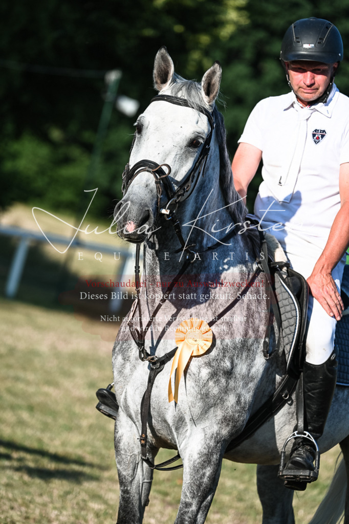 DSC_3186 | Pferde- und Turnierfotografie in Westsachsen. Pferdeportraits, Auftragszeichnungen und intuitive Kunst.
